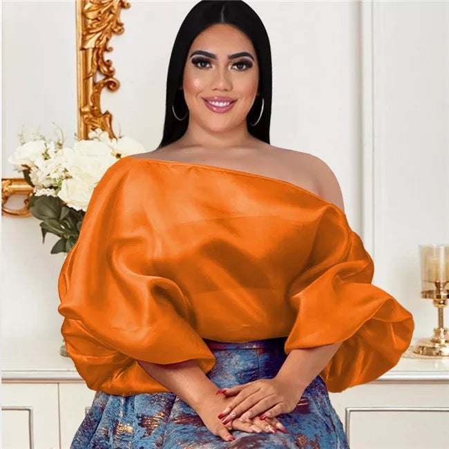 Sheer Sloping Puffy Blouse