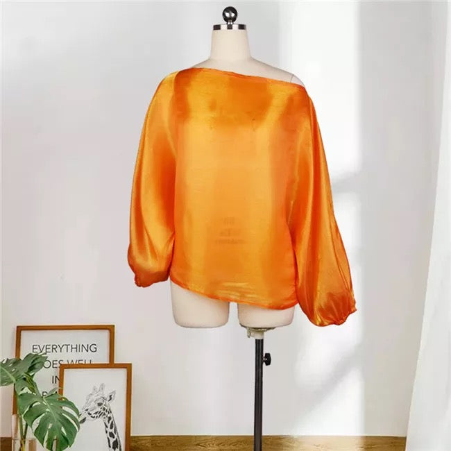 Sheer Sloping Puffy Blouse